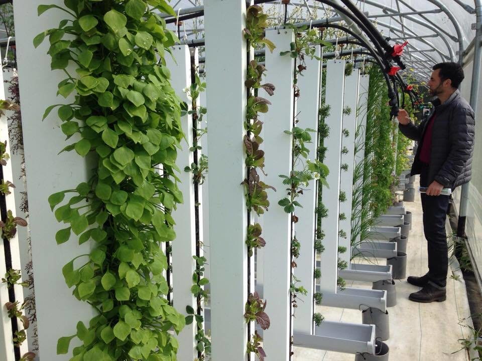 agriculture verticale : une alternative pour les espaces restreints