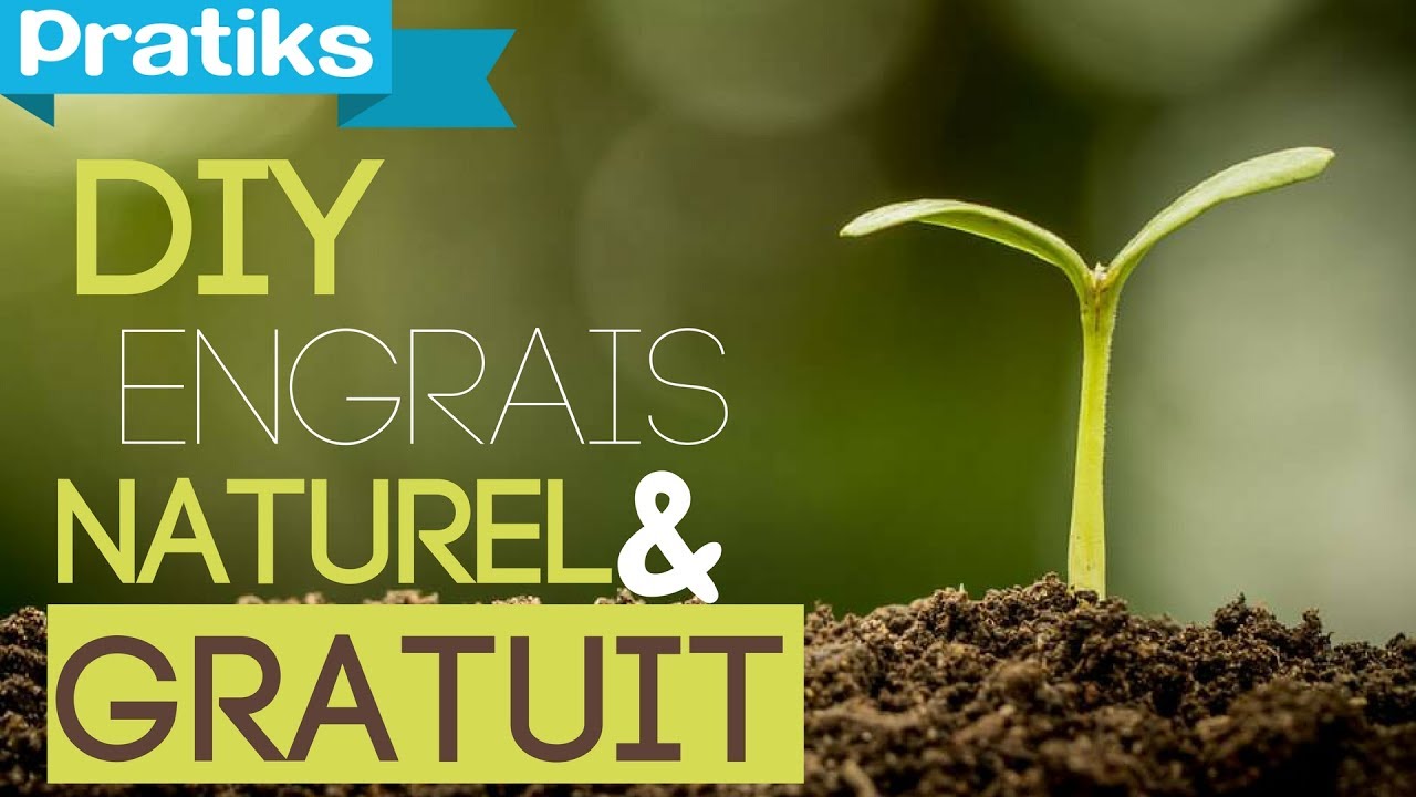 comment faire de l’engrais organique