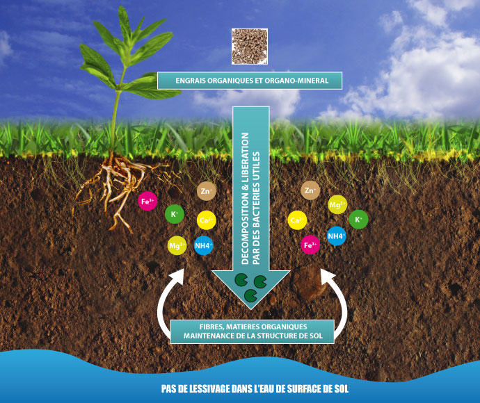 Comment utiliser engrais organique