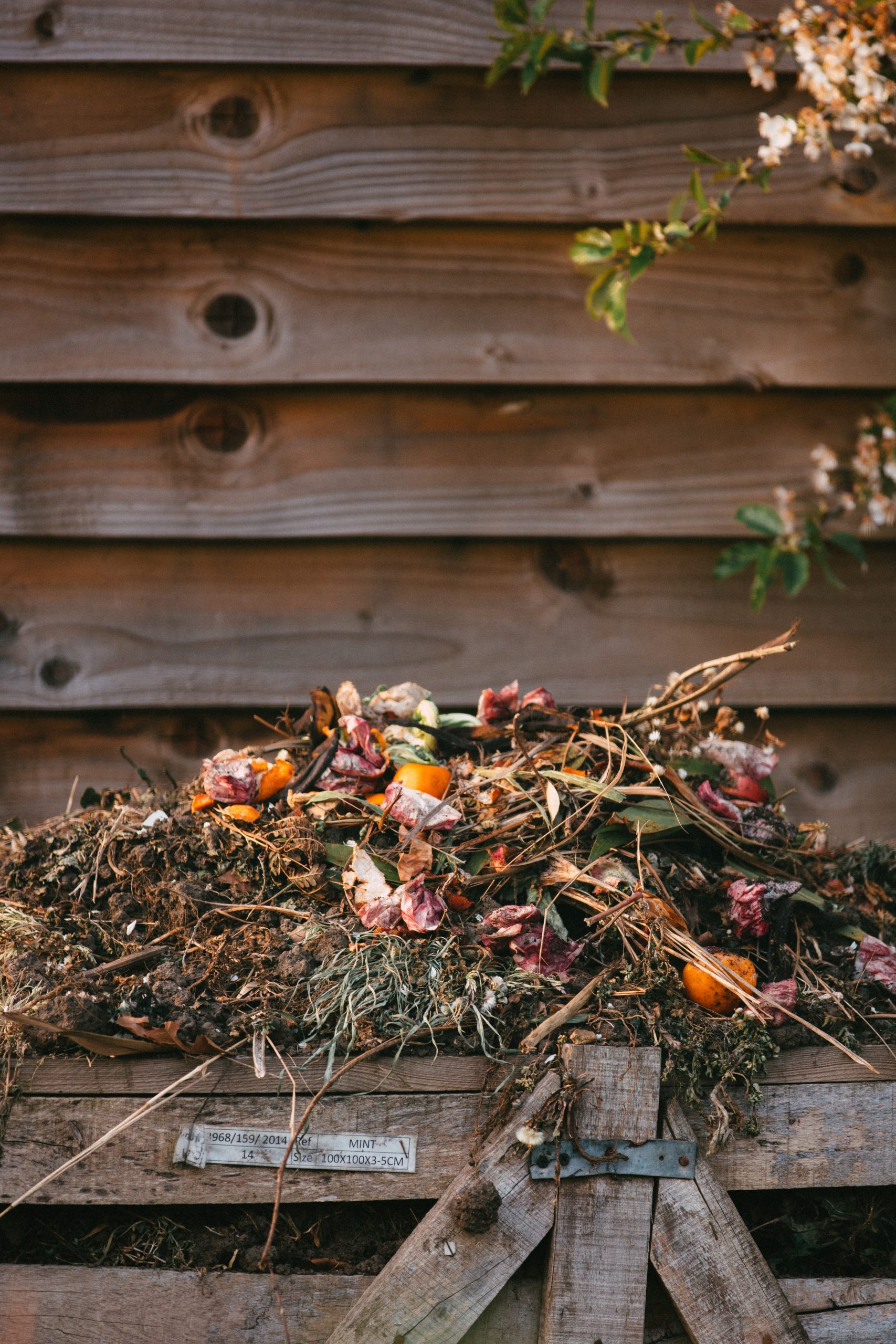 Secrets pour atteindre l’équilibre parfait au sein d’un tas de compost