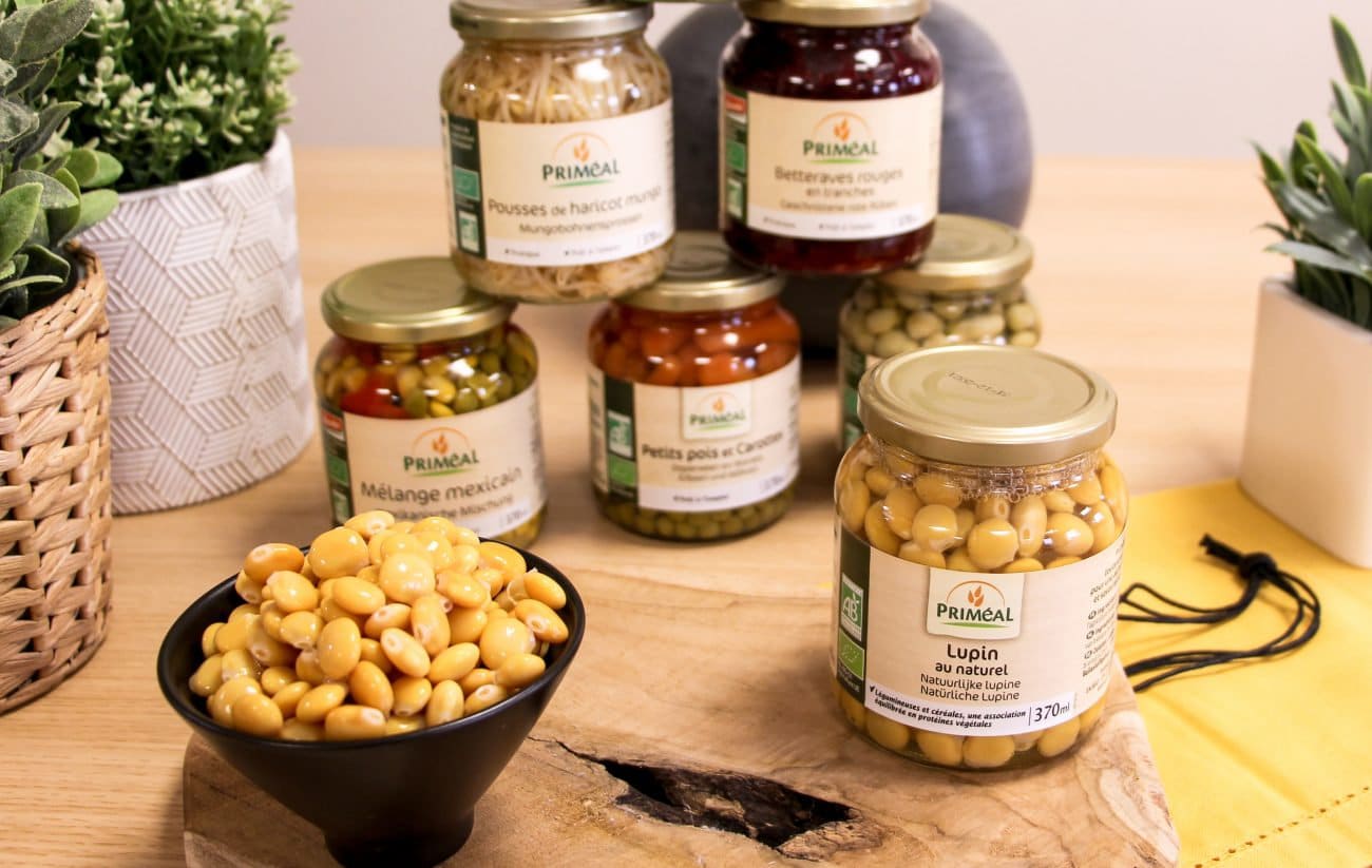 Lupin : 5 Recettes Incontournables (Simples et Rapides)
